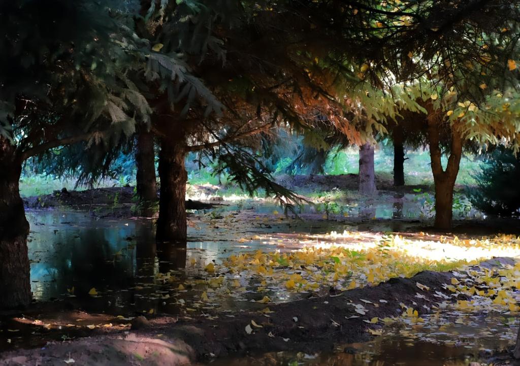 兰州交通大学举办“光影秋韵”摄影作品征集活动