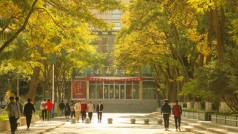 2024年6月11日 中午课外新视野