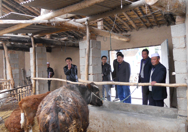 点击浏览下一页