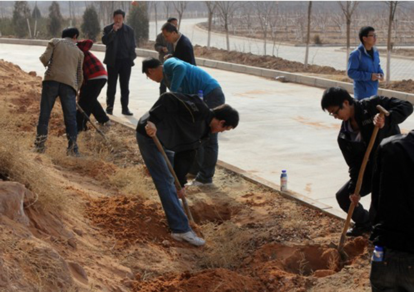 机电学院学生赴仁寿山社区开展志愿植树