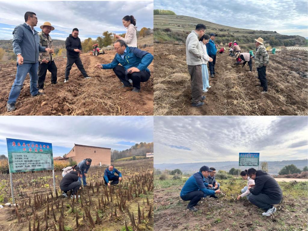 科技助农促振兴—生物与制药工程学院携手学校驻村帮扶工作队在康乐县开展农业技术服务