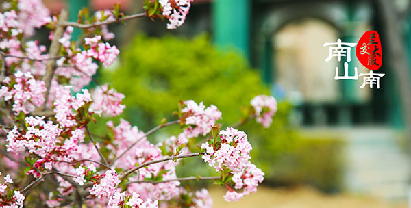 《南山南》——兰州交通大学版