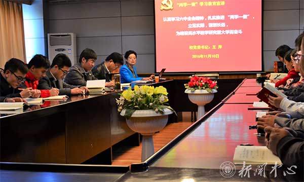 王萍书记为化工学院全体教工党员讲党课