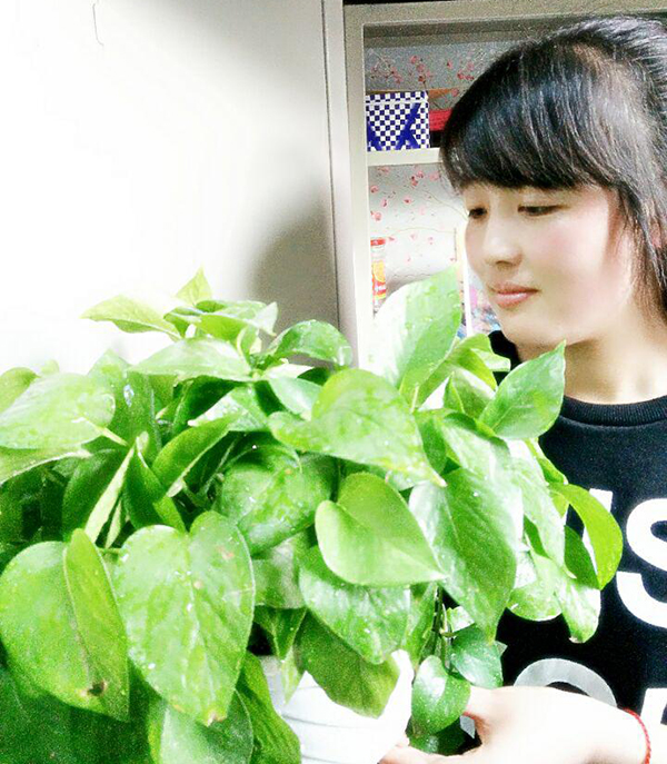 外语学院举办“远离霾伏、共享蓝天”宿舍绿植照片征集活动