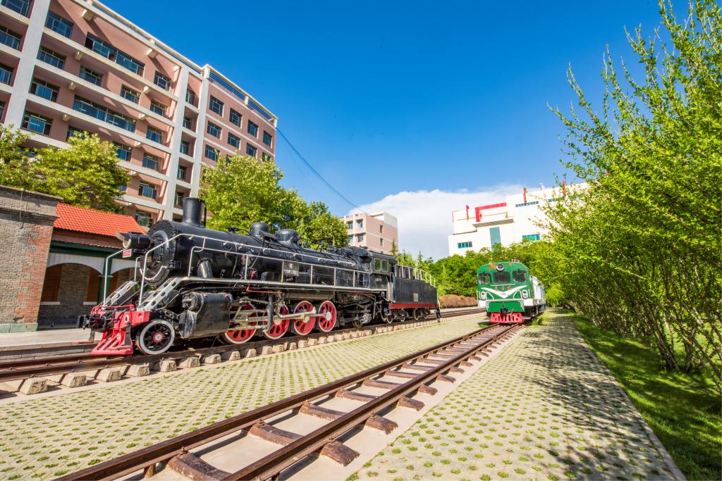 学校多项成果荣获2025年度甘肃省科学技术奖