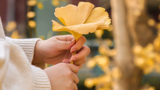 2024年6月14日 中午人物