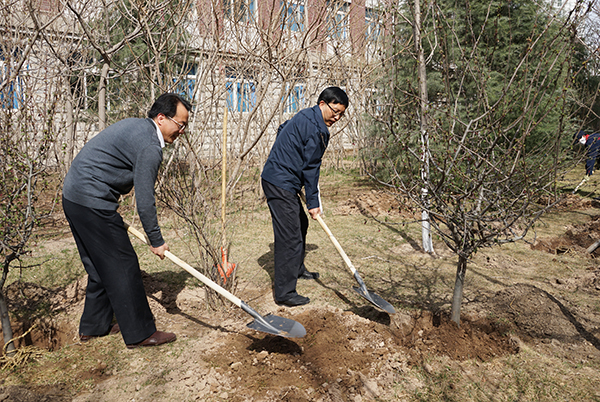 我校开展春季植树活动  争创全国绿化模范单位