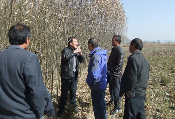 点击浏览下一页