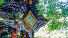 2024年6月12日 中午漫游记