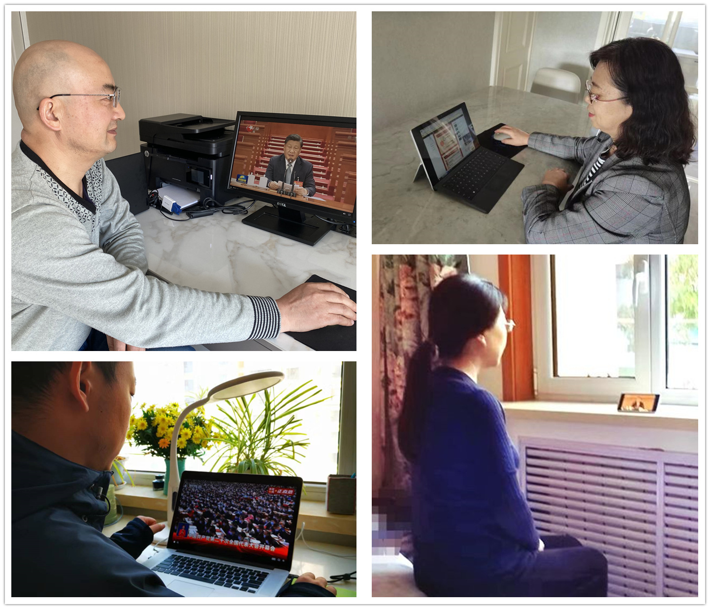 我校少数民族联谊会、欧美同学会认真学习党的二十大报告