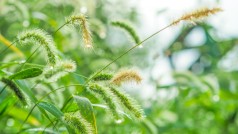 2024年6月13日 交大新闻