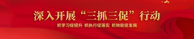深入开展“三抓三促”行动