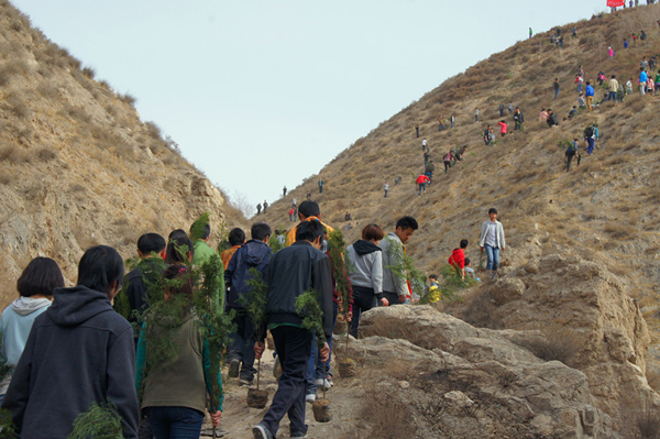 我校900余名志愿者参与荒山植绿活动