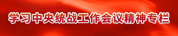 学习中央统战工作会议精神专栏