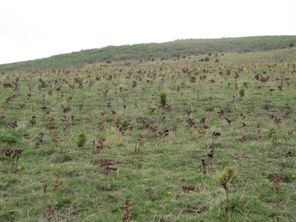 点击浏览下一页